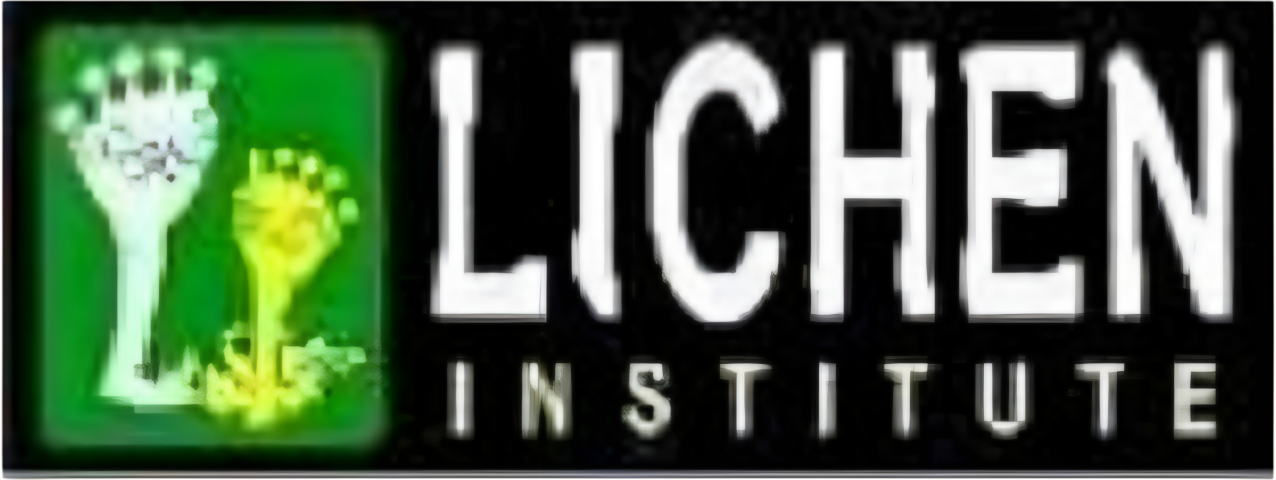 Licheninstiture