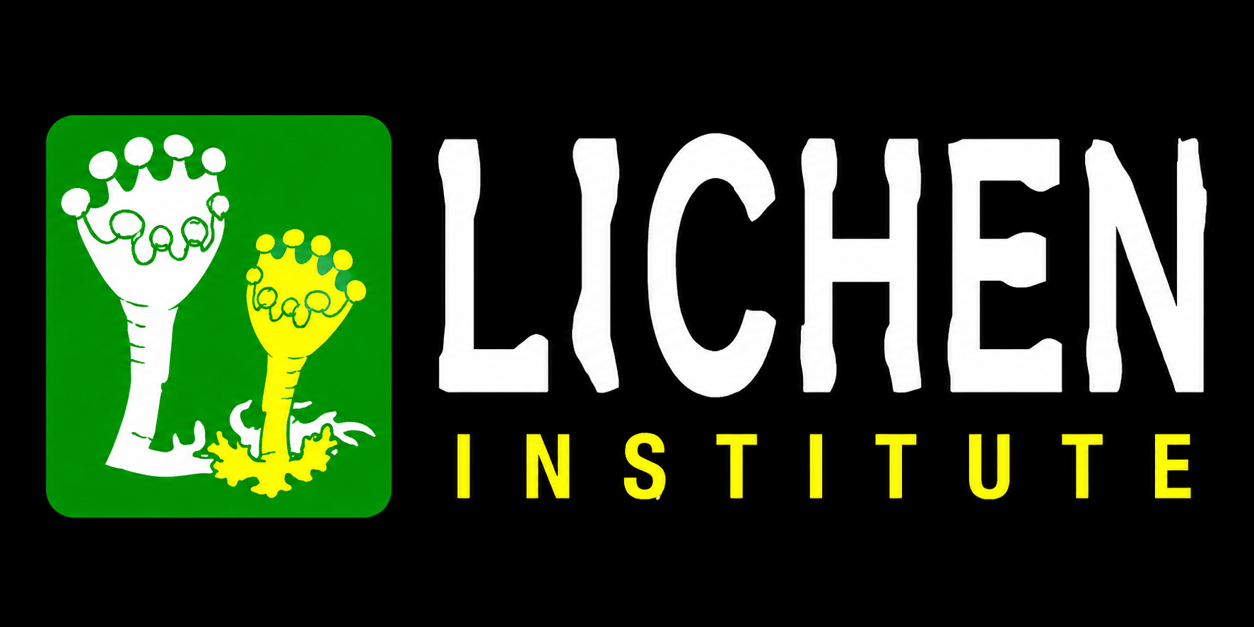 licheninstitute